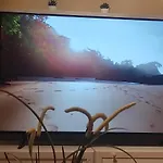 Daire Alminar *